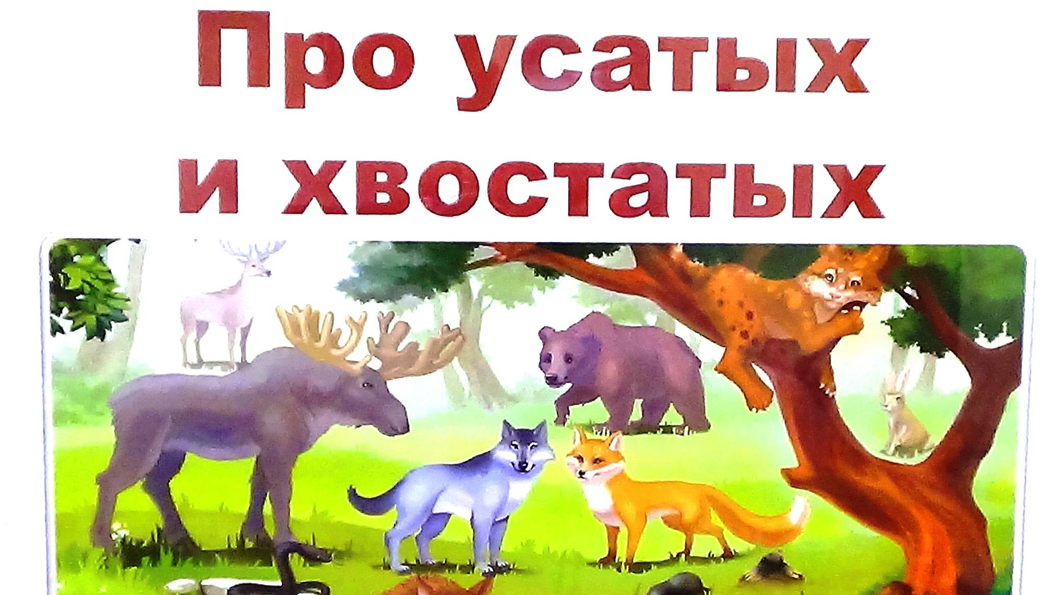 Гатчина. Детская библиотека. Обзор книг. смотреть онлайн