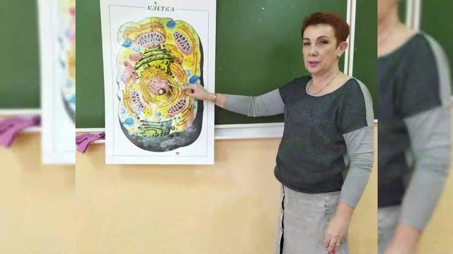 МБОУ "Школа №82" г. Ростова-на-Дону . Учитель года - Гурова Т. О. Номинация "Учитель здоровья". смотреть онлайн