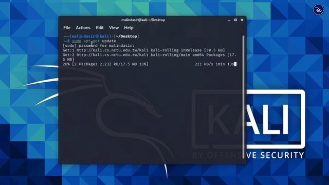 Update Kali Linux смотреть онлайн