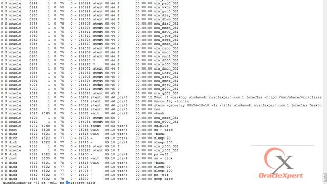 Unix Day10 смотреть онлайн
