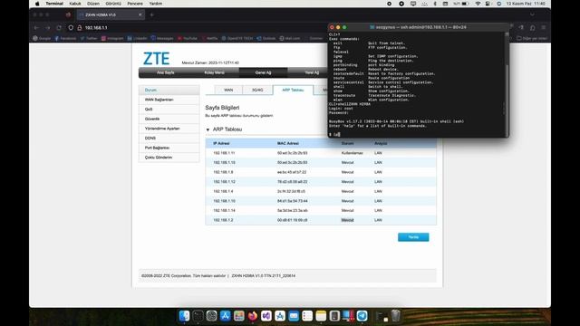 ZTE ZXHN H298A permanent ARP entry hack for WoL смотреть онлайн