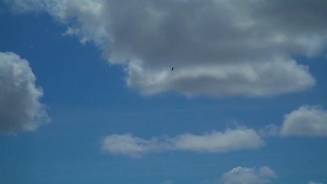 Work Hard, Play Hard! Spending our days off burning gallons of JET A with friends! RC Jet planes. смотреть онлайн