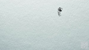 Краткое содержание - Поединок