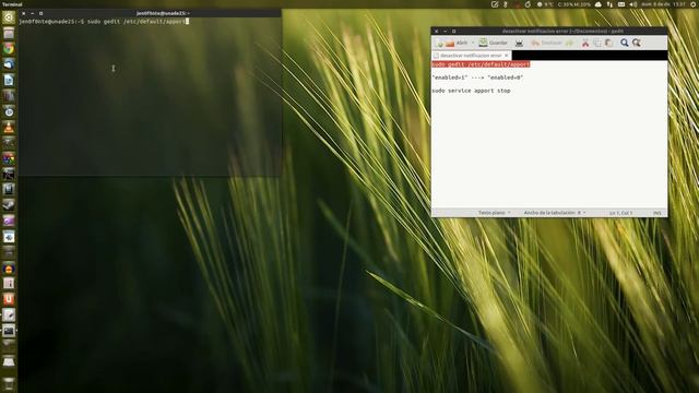 Trucos Ubuntu: Eliminar mensajes de error смотреть онлайн