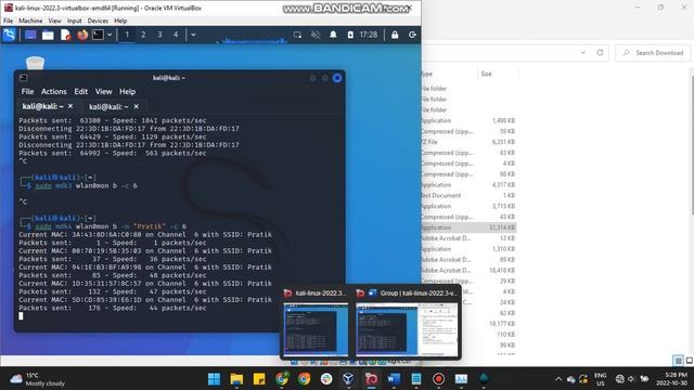 mdk3/mdk4 explanation смотреть онлайн