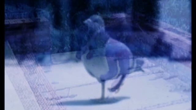 JUMPSTYLE LAST SUMMER