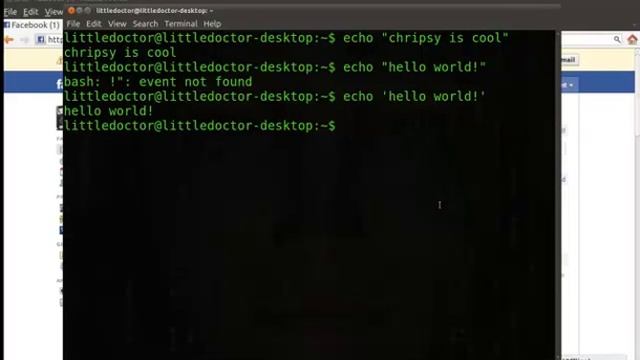 Bash - Printing in terminal смотреть онлайн
