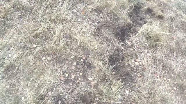 КОП НА БАЗЕ ПВО!!! НАШЛИ ЧЕМОДАНЧИК С МЕДЬЮ!!! смотреть онлайн