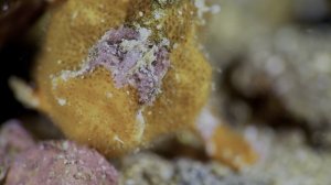 КрАсИвОе ВиДеО в 4К