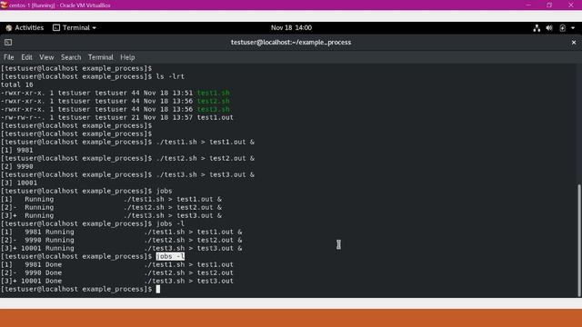 How to list the background processes in Linux and why nohup is used in Linux? смотреть онлайн