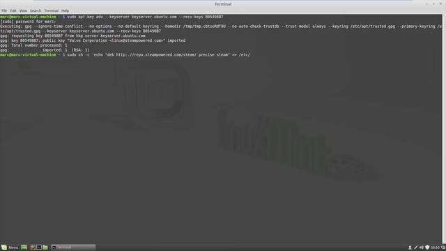 Installing Steam on Linux Mint смотреть онлайн