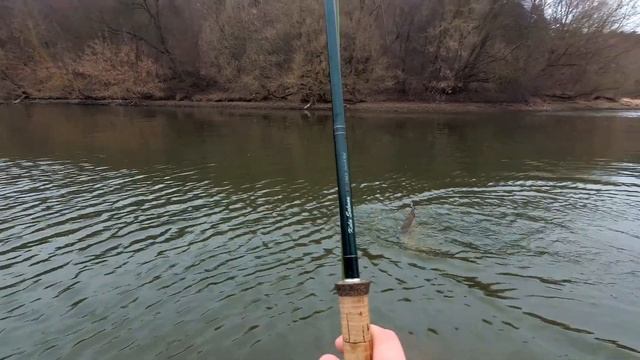 Весенние танцы со щукой смотреть онлайн