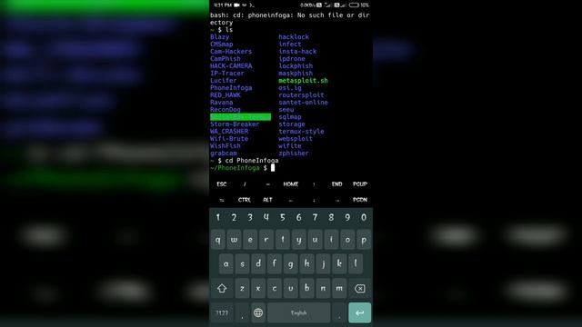 Find Information from a Phone Number Using OSINT Tools [Tutorial] смотреть онлайн