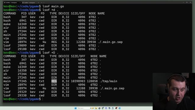 lsof: A Quick Practical Guide смотреть онлайн