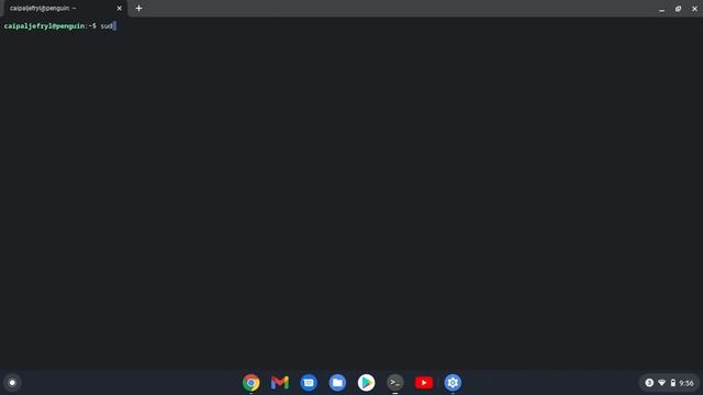 HOW TO INSTALL COSMIC CLIENT ON LINUX CHROMEBOOK смотреть онлайн