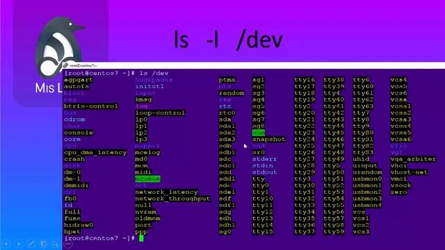 LPIC-1 02 03 virtual file system смотреть онлайн