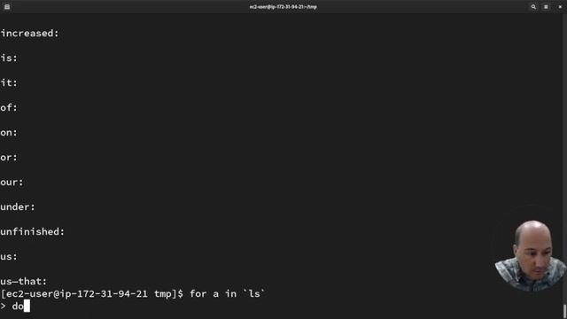 Linux Globbing and VI смотреть онлайн