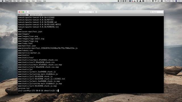 DBmarlin Server Installation смотреть онлайн