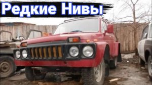 Необычные модификации и тюнинг автомобилей Лада Нива. №9