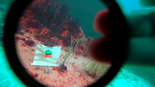 Underwater Filter Test Sony FS100 смотреть онлайн