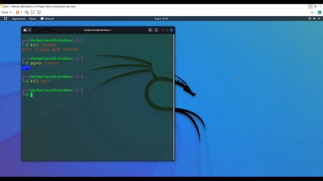 15. kali commands 5 How to Kill Anything In Kali смотреть онлайн