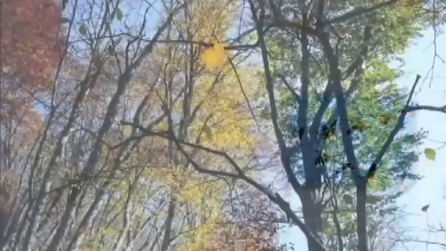 _Осень_ К.Бальмонт смотреть онлайн