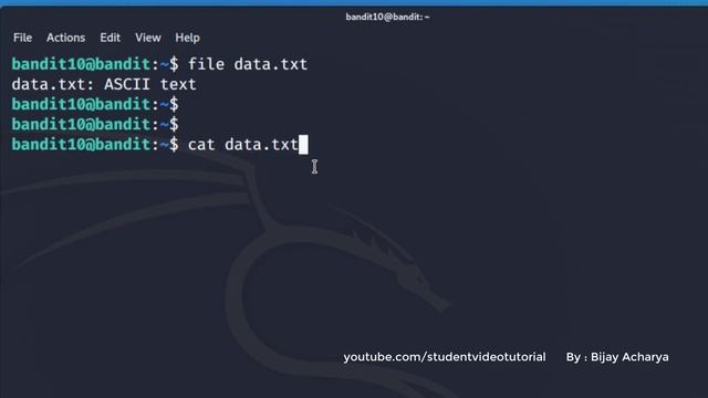[Kali Linux] CTF Bandit : Level 10 → Level 11 [Over the wire] смотреть онлайн