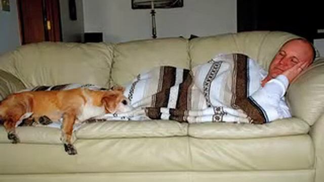 David Farr.mov смотреть онлайн