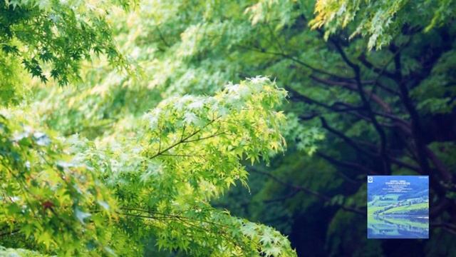 ショパン：ピアノ協奏曲 第1番 ホ短調 作品11 ステファンスカ, ロヴィツキ смотреть онлайн