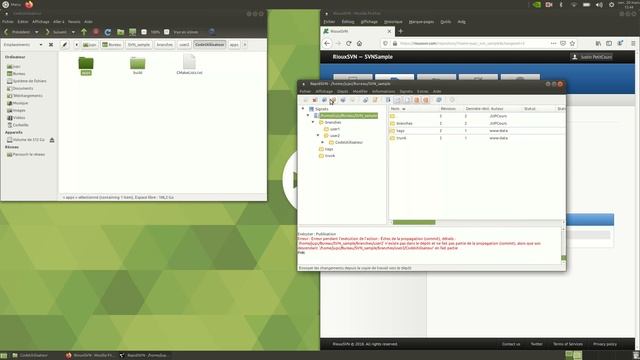rapidsvn смотреть онлайн
