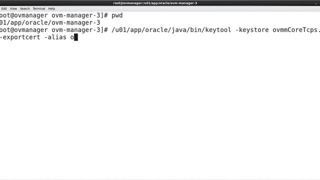 Setup TCPS on OVM 3.3 смотреть онлайн