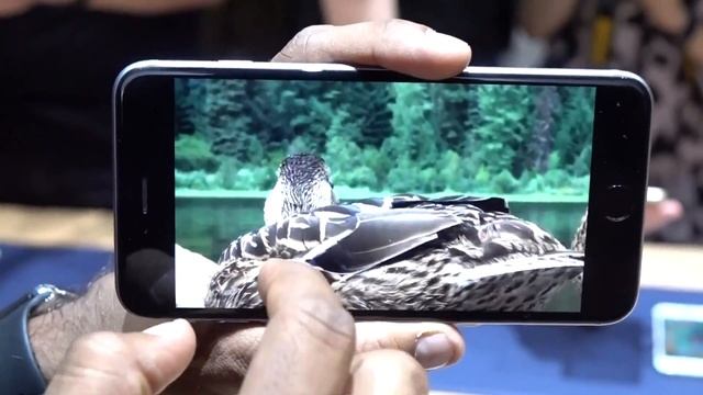 iPhone 6s and 6s Plus: First look смотреть онлайн