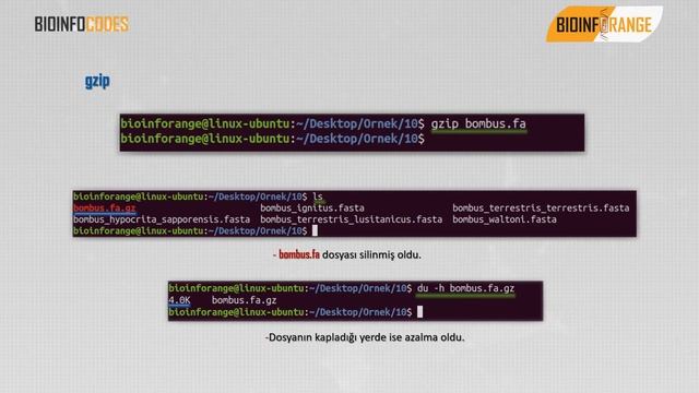 Bioinfocodes Linux Serisi - 12 : Disk Kullanımı ve Dosya Arşivleme смотреть онлайн
