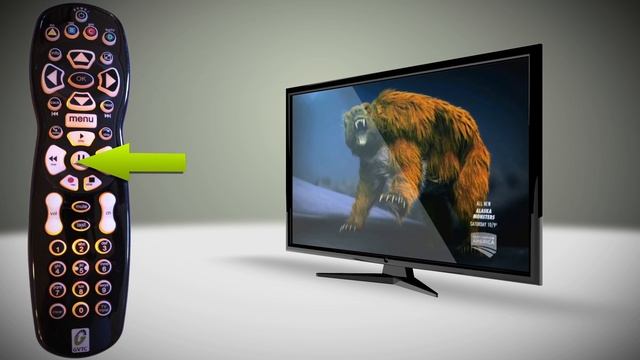 Pause Live TV смотреть онлайн