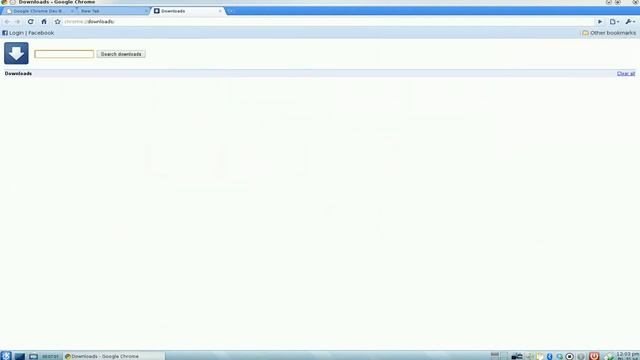 Google Chrome Linux 3.0.196.0 on Kubuntu 9.04 смотреть онлайн