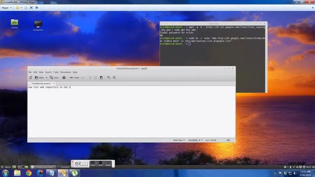 Installing Google Chrome on Linux Mint Cinnamon смотреть онлайн