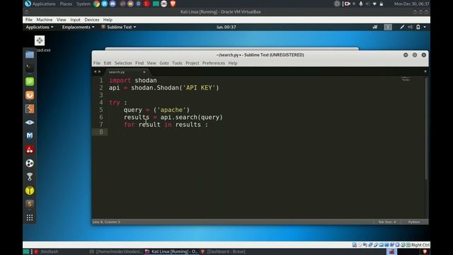 COLLECTE D'INTELLIGENCE AVEC LE "API" DE SHODAN смотреть онлайн