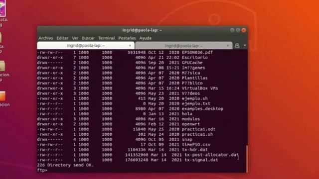 Protocolos Telnet, FTP, SCP смотреть онлайн