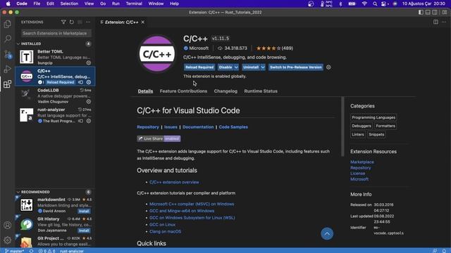 Rust Programlama Dersleri 3 - vscode ve pycharm eklentileri смотреть онлайн
