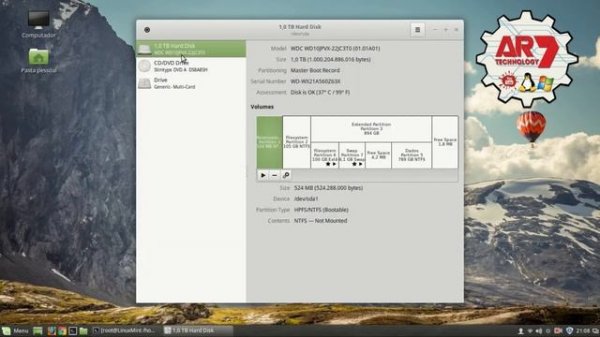 Error Mounting Filesystem - Linux Mint