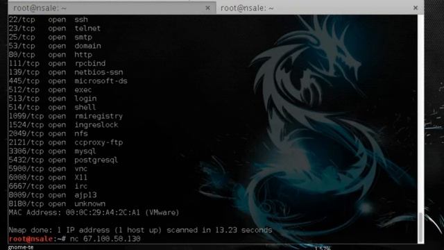 Rouge shell backdoor Wild shell смотреть онлайн