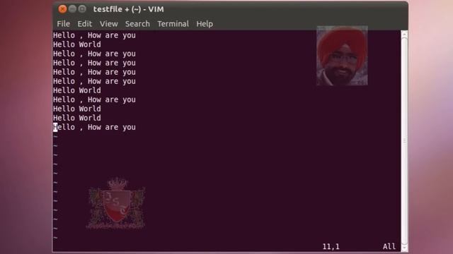 ✅ Basic Editing technique Replacing Words in vim Editor in Linux in Hindi смотреть онлайн