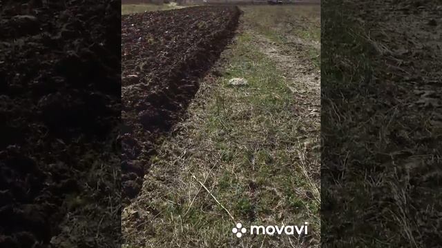Т150 пашем «огороды» смотреть онлайн