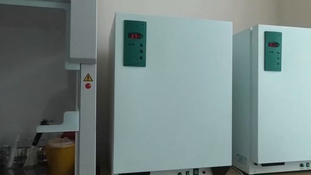 Экскурсия по факультету ветеринарной медицины и биотехнологий Вологодской ГМХА смотреть онлайн