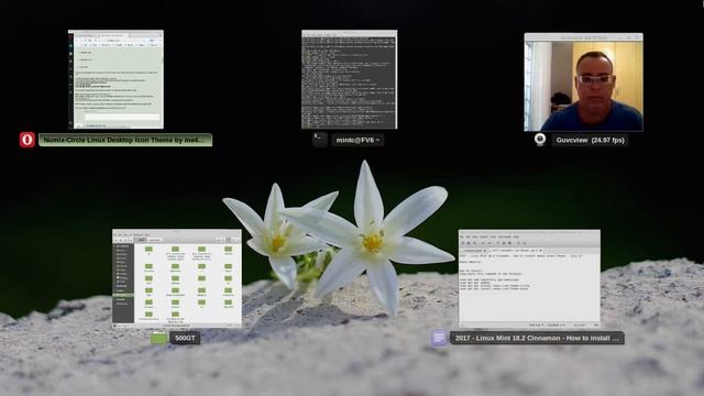 2017 - Linux Mint 18.2 Cinnamon - How to install Numix Icons Themes - July 12.webm смотреть онлайн