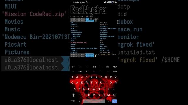 How to Run Ngrok Server without WiFi Hotspot | it's RedHydra смотреть онлайн