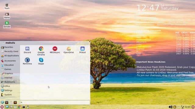 Makulu Linux 'Flash 2020' смотреть онлайн