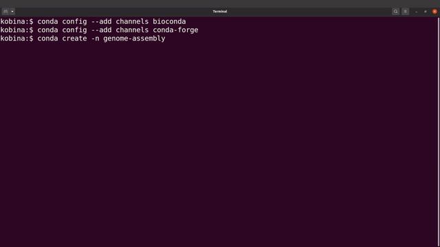 Install megahit in linux using conda смотреть онлайн