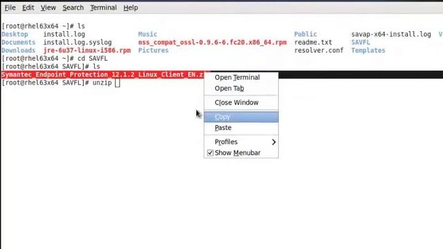 Symantec Endpoint for Linux Client смотреть онлайн