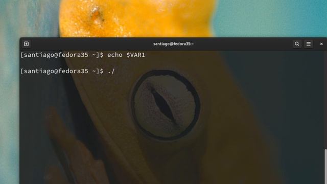 🐧variables de entorno en Linux y el archivo .BASHRC смотреть онлайн